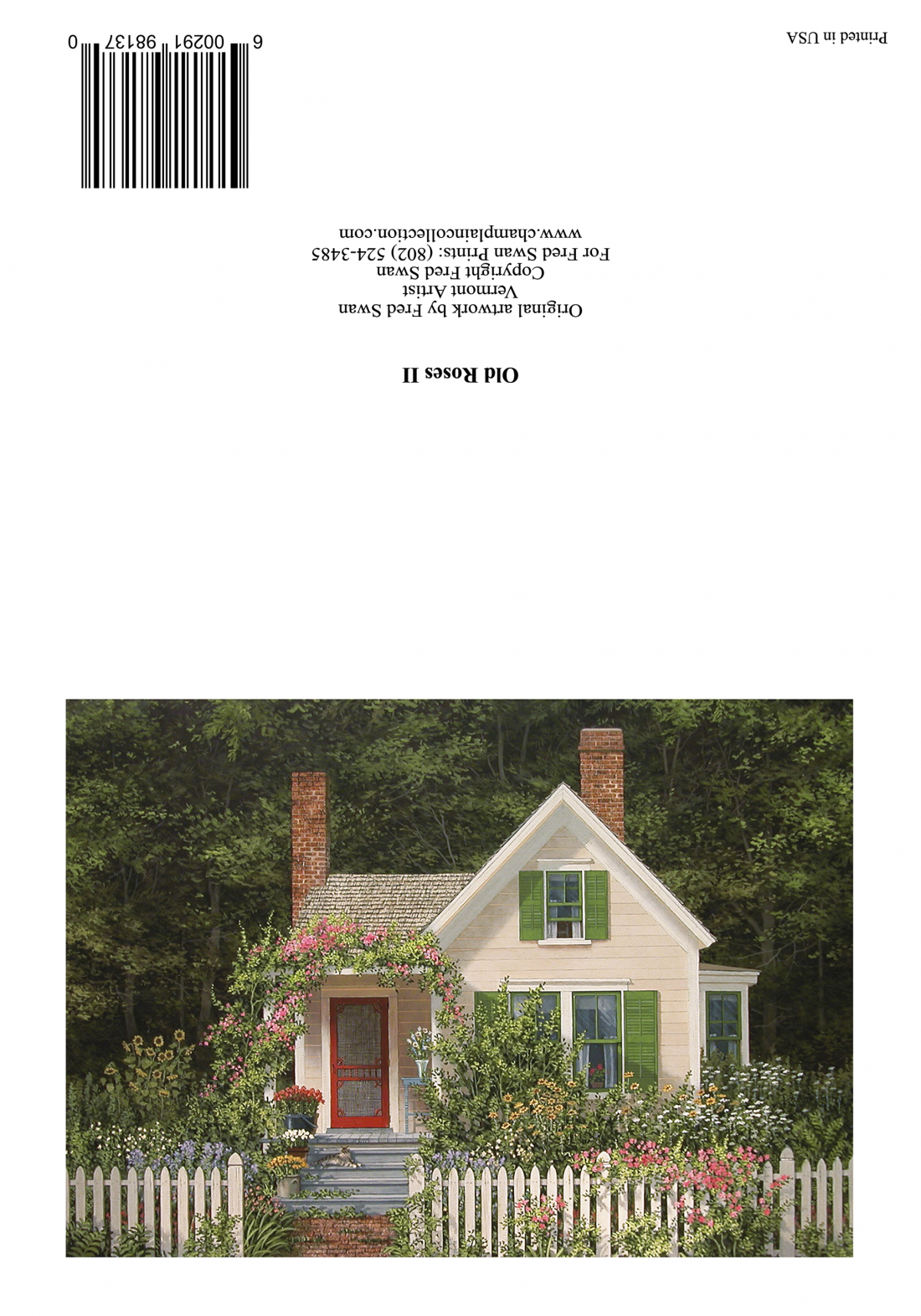 Old Roses II - American Realist Painting by Fred Swan